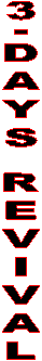 3-DAYS REVIVAL